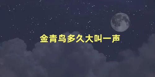 金青鸟多久大叫一声