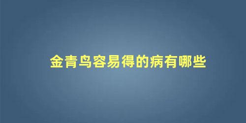 金青鸟容易得的病有哪些