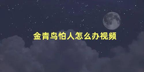 金青鸟怕人怎么办视频