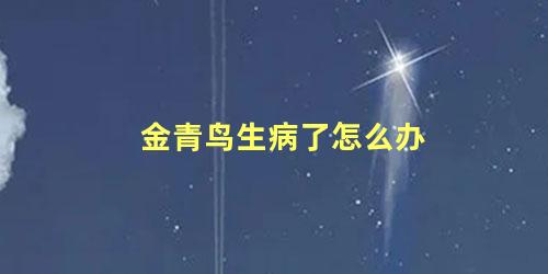 金青鸟生病了怎么办