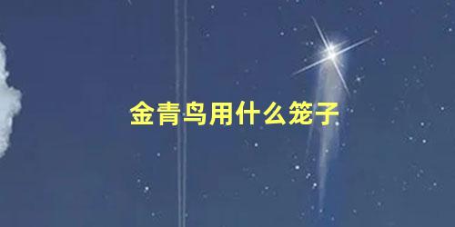 金青鸟用什么笼子