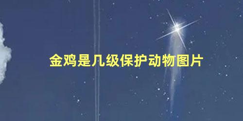 金鸡是几级保护动物图片