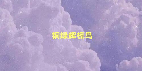 铜绿辉椋鸟