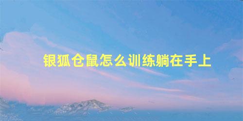 银狐仓鼠怎么训练躺在手上