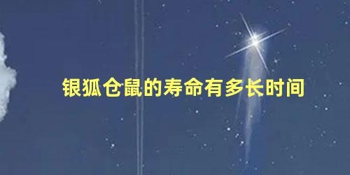 银狐仓鼠的寿命有多长时间