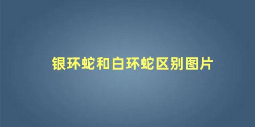 银环蛇和白环蛇区别图片