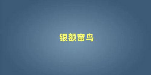 银额窜鸟