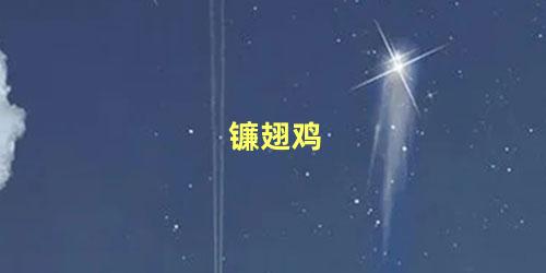 镰翅鸡
