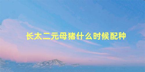 长太二元母猪什么时候配种