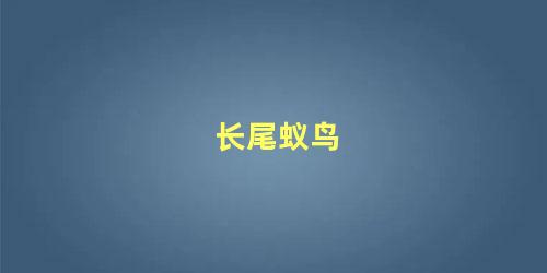 长尾蚁鸟