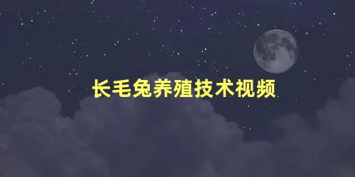 长毛兔养殖技术视频