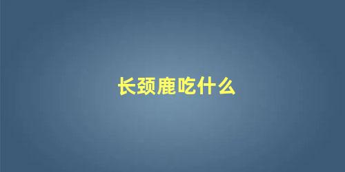 长颈鹿吃什么
