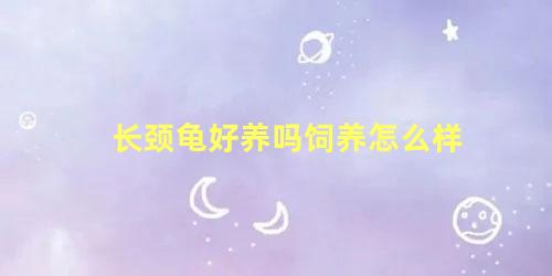 长颈龟好养吗饲养怎么样