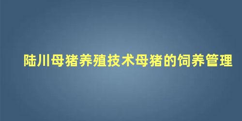 陆川母猪养殖技术母猪的饲养管理