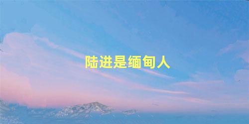 陆进是缅甸人