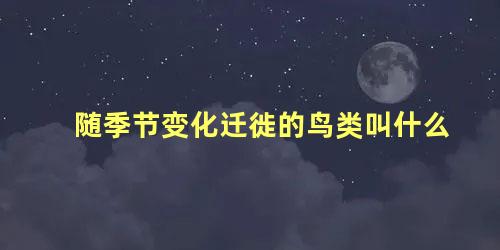 随季节变化迁徙的鸟类叫什么