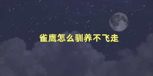雀鹰怎么驯养不飞走