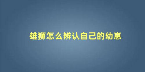 雄狮怎么辨认自己的幼崽