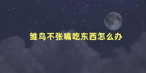 雏鸟不张嘴吃东西怎么办