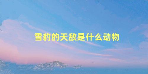 雪豹的天敌是什么动物