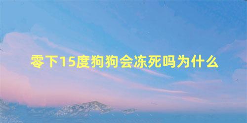 零下15度狗狗会冻死吗为什么