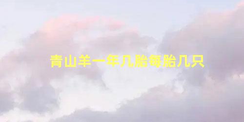 青山羊一年几胎每胎几只