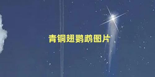 青铜翅鹦鹉图片