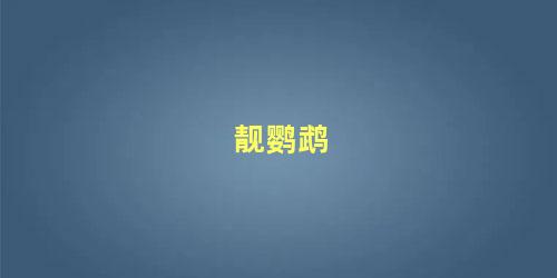 靓鹦鹉