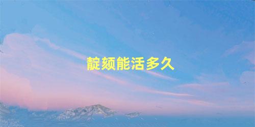 靛颏能活多久