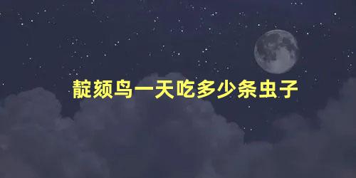 靛颏鸟一天吃多少条虫子