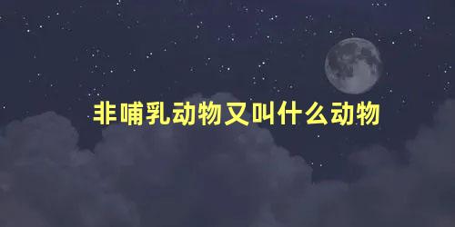 非哺乳动物又叫什么动物