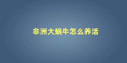 非洲大蜗牛怎么养活