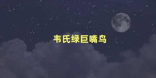 韦氏绿巨嘴鸟