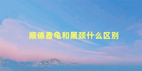 顺德香龟和黑颈什么区别