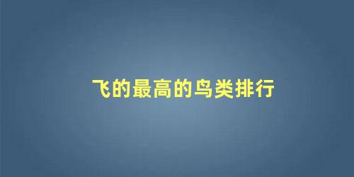 飞的最高的鸟类排行