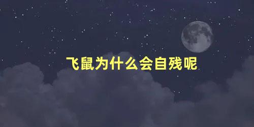 飞鼠为什么会自残呢