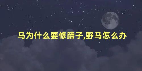 马为什么要修蹄子,野马怎么办