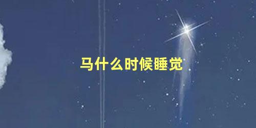 马什么时候睡觉