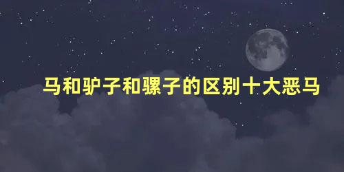 马和驴子和骡子的区别十大恶马