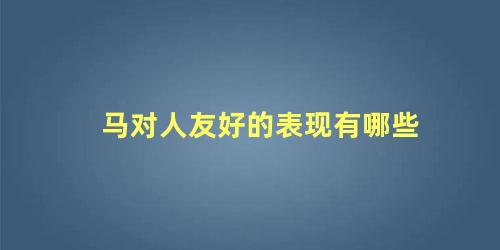 马对人友好的表现有哪些