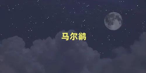 马尔鹟
