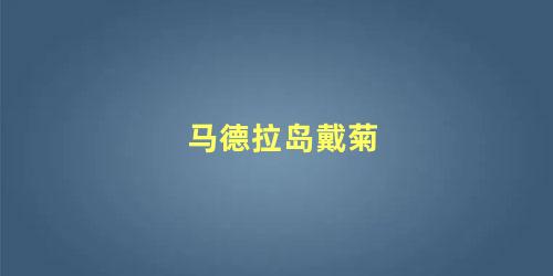马德拉岛戴菊