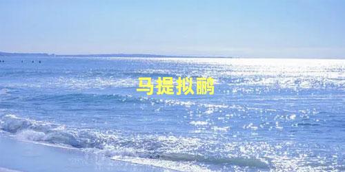 马提拟鹂