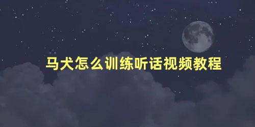 马犬怎么训练听话视频教程