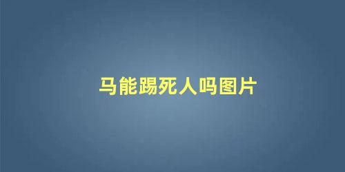马能踢死人吗图片