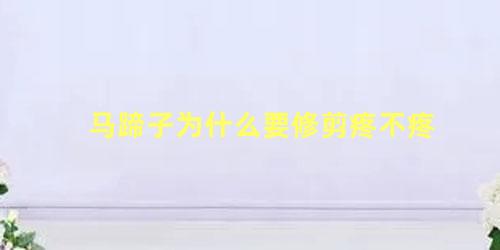 马蹄子为什么要修剪疼不疼