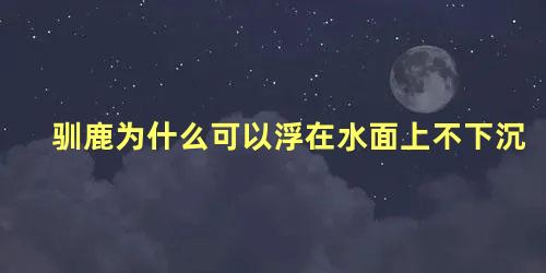 驯鹿为什么可以浮在水面上不下沉