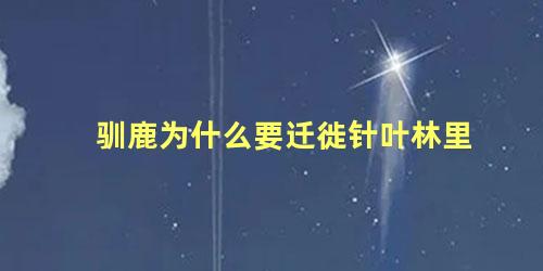驯鹿为什么要迁徙针叶林里