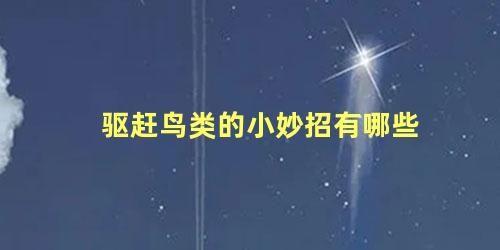 驱赶鸟类的小妙招有哪些