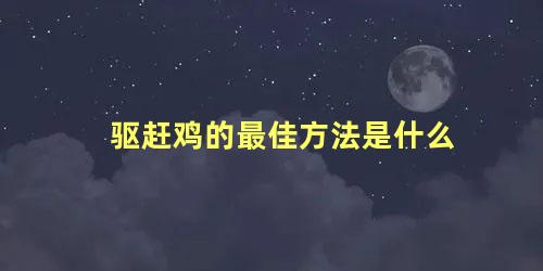 驱赶鸡的最佳方法是什么